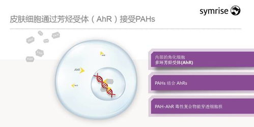 技术赋能 智美未来——梅鹤祥谈化妆品新科技趋势与前瞻思考