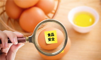 外贸进口出货全流程解析与技术咨询要点